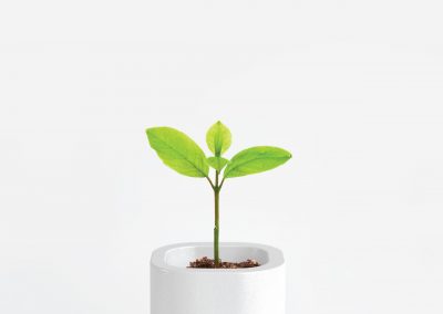 Modular Garden/Vaso tecnologico