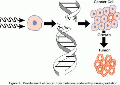 Cancro / DNA