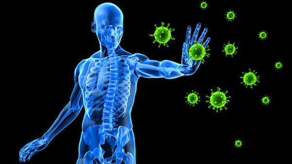 Radiazioni e tossine fanno impazzire il sistema immunitario