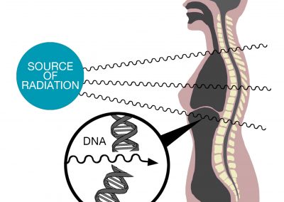 DNA